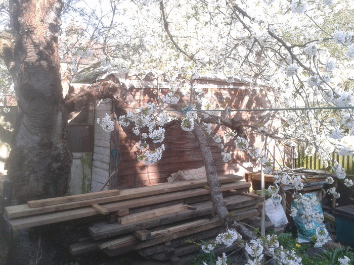 09 Perma-shed Implement 03-dismantling-timelapse